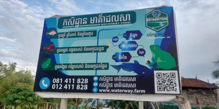 បទយកការណ៍ខ្លី៖ និស្សិតម្នាក់បោះបង់ជំនាញនៅសាលាងាកមកបើកកសិដ្ឋានចិញ្ចឹមត្រីនិងកង្កែប