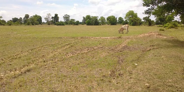 Farm