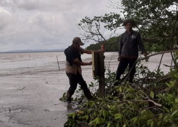 សហគមន៌នៅខេត្តកោះកុងចោទពលរដ្ឋចូលទន្ទ្រានដីតំបន់ការពារដោយខុសច្បាប់