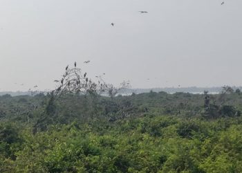 ពលរដ្ឋនៅតំបន់បឹងស្នេហ៍ស្នើកុំឱ្យចោលសំរាមផ្ដេសផ្ដាសប៉ះពាល់ដល់សម្រស់តំបន់ធម្មជាតិ