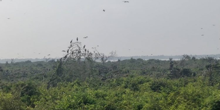 ពលរដ្ឋនៅតំបន់បឹងស្នេហ៍ស្នើកុំឱ្យចោលសំរាមផ្ដេសផ្ដាសប៉ះពាល់ដល់សម្រស់តំបន់ធម្មជាតិ