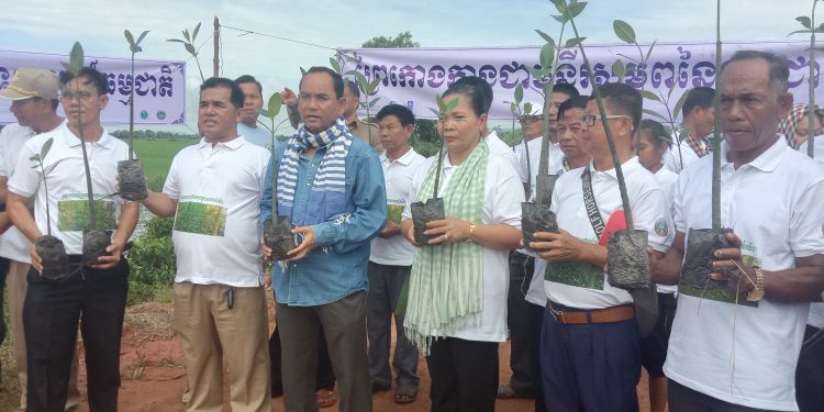 សហគមន៍នេសាទ ដាំកូនកោងកាង