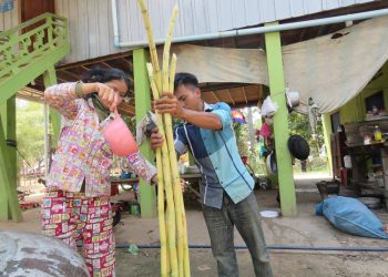 ការយល់ដឹងផ្នែកសមភាពយេនឌ័រធ្វើឱ្យបុរសបញ្ឈប់ការប្រើហិង្សាក្នុងគ្រួសារ