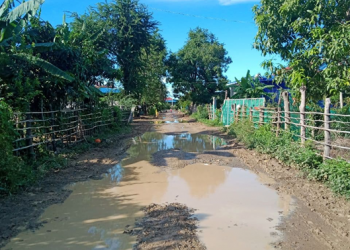 អាជ្ញាធរមិនហ៊ានអភិវឌ្ឍន៍ផ្លូវក្នុងភូមិ ក្រោមហេតុផលជាការគ្រប់គ្រងរបស់ក្រុមហ៊ុនឯកជន