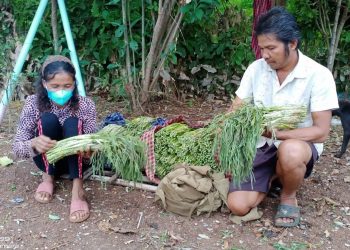 ស្រ្តីមានជម្ងឺប្រចាំកាយម្នាក់ ថាខ្លួនមិនមានកម្លាំងប្រកបរបរទិញលក់បន្លែធម្មជាតិចិញ្ចឹមជីវិតដូចមុនទៀតបាន