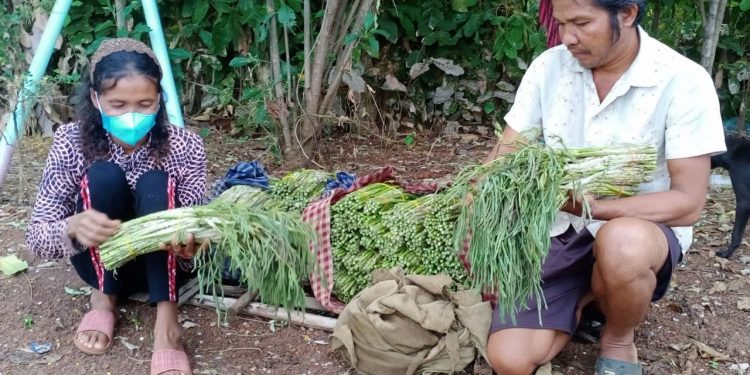 ស្រ្តីមានជម្ងឺប្រចាំកាយម្នាក់ ថាខ្លួនមិនមានកម្លាំងប្រកបរបរទិញលក់បន្លែធម្មជាតិចិញ្ចឹមជីវិតដូចមុនទៀតបាន