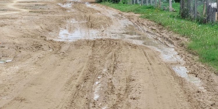 ប្រជាពលរដ្ឋស្រុកគងពិសីធុញទ្រាំនឹងផ្លូវមួយខ្សែរងការខូចខាតមកជាច្រើនឆ្នាំ