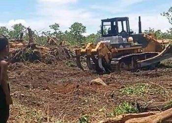 ជនជាតិដើមភាគតិចពូនងស្នើអាជ្ញាធរពន្លឿនការចុះបញ្ជីដីសមូហភាព ដើម្បីបញ្ឈប់ការរំលោភយក