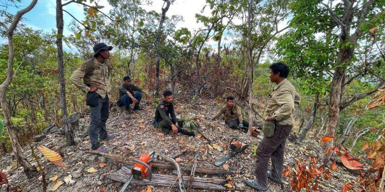 អ្នកចុះល្បាតថា បទល្មើសព្រៃឈើនៅតំបន់ឱរ៉ាល់បានកើនឡើងដោយគ្មានការទប់ស្កាត់ពីអាជ្ញាធរ