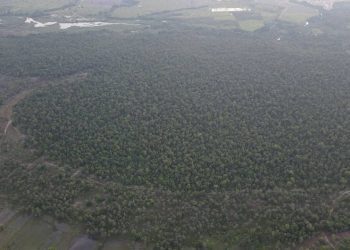 ទិដ្ឋភាពព្រៃសហគមន៍តំបន់ការពារធម្មជាតិសាមគ្គី ស្ថិតនៅឃុំត្រពាំងជោរ ស្រុកឱរ៉ាល់ ខេត្តកំពង់ស្ពឺ ថតពីលើអាកាស។ (លោក តាន់ គីមសួរ ផ្តល់ឱ្យ)