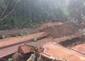 ចម្រៀកឈើដែលក្រុមយុវជនប្រទះឃើញគេអារច្រៀក ស្ថិតក្នុងតំបន់អារ៉ែង នៅភូមិច្រកឬស្សី ឃុំជ្រនាប់ ស្រុកថ្មបាំង ខេត្តកោះកុង ខណៈក្រុមយុវជនទាំងនោះចុះល្បាតរយៈពេល៣ថ្ងៃចាប់ពីថ្ងៃពីទី២៦ ដល់ ថ្ងៃទី២៨ ខែមេសា ឆ្នាំ២០២៣។ (អ៊ុក ដែន)