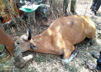 សត្វព្រៃ និងផលត្រីនៅព្រៃសង្ឃរុក្ខាវ័នប្រឈមបាត់ឆាប់រហ័យ ខណៈអន្ទាក់ និងការនេសាទខុសច្បាប់បន្តកើតមាន