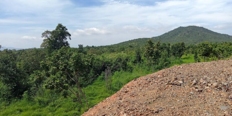 ដីព្រៃសហគមន៍ជាង៣០ហិកតារបស់ជនជាតិដើមភាគតិចនៅខេត្តកំពង់ស្ពឺរងការហ៊ុមព័ទ្ធយកពីអ្នកមានលុយមានអំណាច