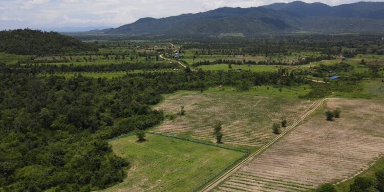 ទិដ្ឋភាពដីជាង ៤០០ហិកតាកាលពីថ្ងៃទី២២ មីនាឆ្នាំ២០២៣ ត្រូវបានជនល្មើសរំលោភយកជាថ្មីទៀត ខណៈទីតាំងនោះត្រូវបានរដ្ឋបាលខេត្តកំពង់ស្ពឺ សម្រេចដកហូតទុកជាសម្បត្តិរដ្ឋកាលពីឆ្នាំ២០១៩ ។ (រូបថតផ្តល់ឱ្យ)