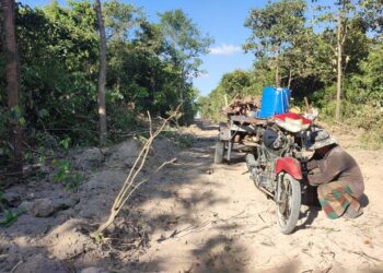 សកម្មភាពពលរដ្ឋឈប់រឺម៉ក់ដឹកអុសឆ្លងកាត់កន្លែងដែលមានការឈូសឆាយព្រៃឈើថ្មីនៅតំបន់ភ្នំតាម៉ៅ កាលពីថ្ងៃទី៧ ខែធ្នូ ឆ្នាំ២០២៣។ (កញ្ញា បូ សុភា)