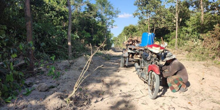 សកម្មភាពពលរដ្ឋឈប់រឺម៉ក់ដឹកអុសឆ្លងកាត់កន្លែងដែលមានការឈូសឆាយព្រៃឈើថ្មីនៅតំបន់ភ្នំតាម៉ៅ កាលពីថ្ងៃទី៧ ខែធ្នូ ឆ្នាំ២០២៣។ (កញ្ញា បូ សុភា)