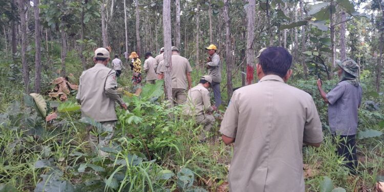 សកម្មភាពមេព្រៃ ប្រធាននិងសជិកសហគមន៍ព្រៃឈើភ្នំត្នោតចុះទៅពិនិត្យកន្លែងដែលគេកាប់ព្រៃឈើ កាលពីខែតុលាឆ្នាំ២០២៣។ (រូបភាពផ្ដល់ឱ្យ)
