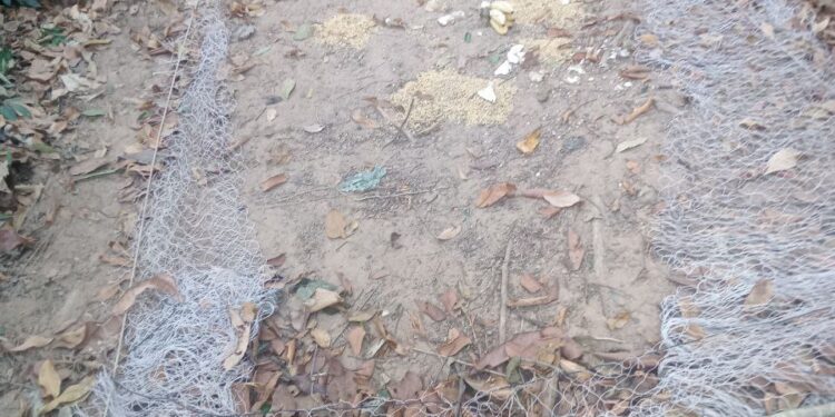 អ្នកភូមិនៅខេត្តកំពង់ធំបារម្ភពីការបាត់បង់សត្វព្រៃក្រោយជនល្មើសតែងតែចូលដាក់អន្ទាក់ក្នុងព្រៃសហគមន៍