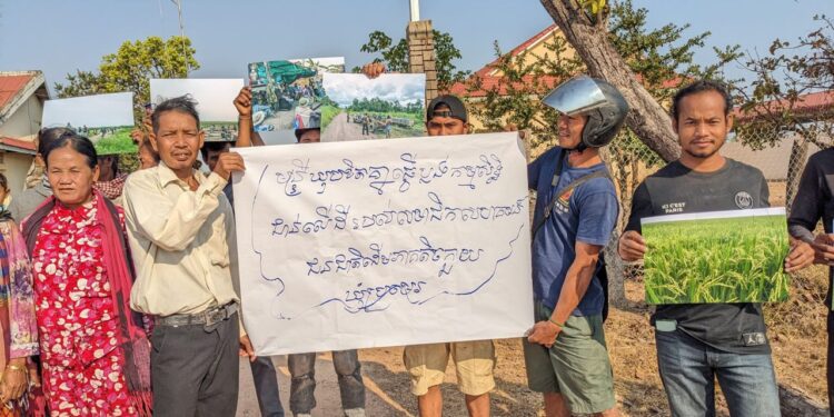 ជនជាតិដើមភាគតិចកួយប្រមាណ៣០នាក់បានទៅប្រមូលផ្តុំមុខសាលាស្រុកត្បែងមានជ័យ កាលពីថ្ងៃទី២៩ ខែកុម្ភៈ ឆ្នាំ២០២៤ ដោយពួកគេបានឈរលើកបដា និងសសេរថា «មន្ត្រីគប់គិតគ្នាធ្វើប្លង់កម្មសិទ្ធិជាន់លើដីរបស់សហគមន៍ជនជាតិដើមភាគតិចកួយនៅឃុំប្រមេរុ»។ (ផ្តល់ឱ្យ)