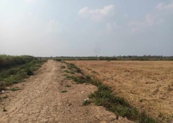 ពលរដ្ឋ១២គ្រួសារប្តឹងស្នងការរងខេត្តបាត់ដំបងម្នាក់ពាក់ព័ន្ធរឿងរំលោភយកដីជាង៦០ហិកតា