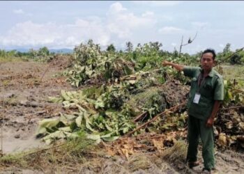ទិដ្ឋភាពនៃការទន្រ្ទានដីព្រៃសហគន៏ឧត្តមស្រែពស់ និងសហគមន៏កោដូនតីនៅខេត្តកំពង់ស្ពឺនៅឆ្នាំ២០២២។ (ហ្វេសប៊ុក ជា ហ៊ាន)