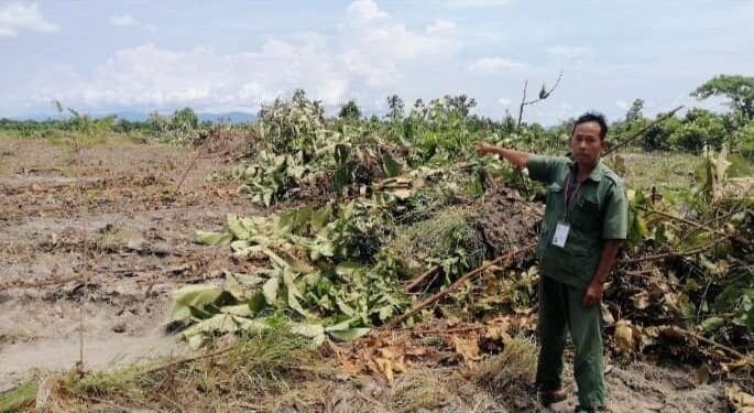 ទិដ្ឋភាពនៃការទន្រ្ទានដីព្រៃសហគន៏ឧត្តមស្រែពស់ និងសហគមន៏កោដូនតីនៅខេត្តកំពង់ស្ពឺនៅឆ្នាំ២០២២។ (ហ្វេសប៊ុក ជា ហ៊ាន)
