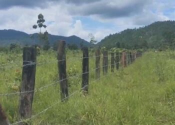 របងលួសហ៊ុំព័ទ្ធយកដីធ្វើជាកម្មសិទ្ធិឯកជន ស្ថិតនៅដែនជម្រកសត្វព្រៃភ្នំឱរ៉ាល់ ក្នុងភូមិស្រែកិន ឃុំត្រពាំងជោរ ស្រុកឱរ៉ាល់ ខេត្ដកំពង់ស្ពឺ ថតនៅថ្ងៃទី១២ ខែសីហា ឆ្នាំ២០២៤។(រូបភាពផ្ដល់ឱ្យ)