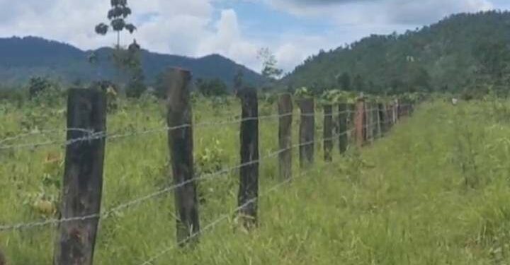 របងលួសហ៊ុំព័ទ្ធយកដីធ្វើជាកម្មសិទ្ធិឯកជន ស្ថិតនៅដែនជម្រកសត្វព្រៃភ្នំឱរ៉ាល់ ក្នុងភូមិស្រែកិន ឃុំត្រពាំងជោរ ស្រុកឱរ៉ាល់ ខេត្ដកំពង់ស្ពឺ ថតនៅថ្ងៃទី១២ ខែសីហា ឆ្នាំ២០២៤។(រូបភាពផ្ដល់ឱ្យ)