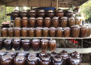 រូបភាព ស្រាពាង ដែលប្រជាពលរដ្ឋបានតាំងសម្រាប់លក់នៅតំបន់រមណីយដ្ឋានបឹងយក្សឡោម ខេត្តរតនគិរី កាលពីខែកក្កដា ឆ្នាំ២០២៤។ (ពលរដ្ឋអ្នកសារព័ត៌មានជាសិក្ខាកាម)