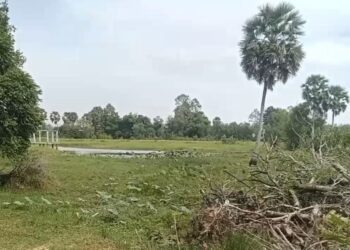 ទិដ្ឋភាព ព្រែកសាធារណៈរបស់រដ្ឋស្ថិតនៅភូមិព្នៅឃុំតាសួស ស្រុកស្វាយជ្រុំ ខេត្ដស្វាយរៀង។ (រូបភាពផ្ដល់ឱ្យ)