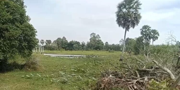 ទិដ្ឋភាព ព្រែកសាធារណៈរបស់រដ្ឋស្ថិតនៅភូមិព្នៅឃុំតាសួស ស្រុកស្វាយជ្រុំ ខេត្ដស្វាយរៀង។ (រូបភាពផ្ដល់ឱ្យ)