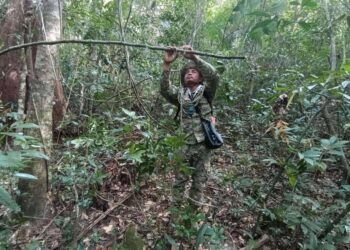 ទិដ្ឋភាពមន្ត្រីបរិស្ថាន កំពុងដោះអន្ទាក់ដាក់យកសត្វព្រៃស្ថិតនៅភូមិត្រពាំងរូង ឃុំត្រពាំងរូង ស្រុកកោះកុង ខេត្តកោះកុង ក្នុងដែនជម្រកសត្វព្រៃតាតៃ កាលពីថ្ងៃទី២ ខែធ្នូ ឆ្នាំ២០២៤។ (ហ្វេសប៊ុកក្រសួងបរិស្ថាន)