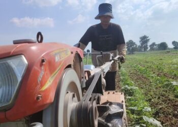 ពលរដ្ឋនៅតំបន់កោះមាស បារម្ភពីការបណ្តេញចេញដោយគ្មានសំណង ក្រោយរដ្ឋជួលដីនោះឱ្យក្រុមហ៊ុនអភិវឌ្ឍន៍