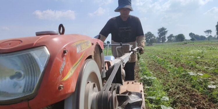 ពលរដ្ឋនៅតំបន់កោះមាស បារម្ភពីការបណ្តេញចេញដោយគ្មានសំណង ក្រោយរដ្ឋជួលដីនោះឱ្យក្រុមហ៊ុនអភិវឌ្ឍន៍
