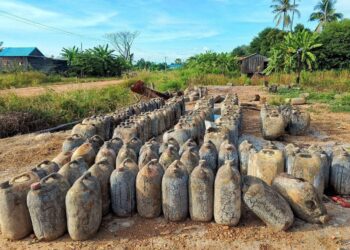 ជនជាតិដើមភាគតិចកួយមួយចំនួនបោះបង់របរដងជ័រទឹក ដោយសារតម្លៃធ្លាក់ចុះ 