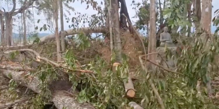 សហគមន៍ព្រៃមេត្តាធម្មជាតិខេត្តកំពង់ស្ពឺស្នើបញ្ឈប់ការកាប់ព្រៃក្នុងដីសមូហភាព ខណៈការឈូសឆាយកើតឡើងជាថ្មី