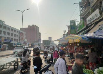 អ្នកជំនាញនិងសង្គមស៊ីវិល ស្នើអាជ្ញាធរមានយន្តការសមស្របដោះស្រាយការរំលោភចំណីផ្លូវយកធ្វើអាជីវកម្ម