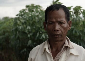 លោកអ៊ុក ម៉ៅ ថានឹងបន្តការងារជាអ្នកសារព័ត៌មានផ្នែកបរិស្ថាន ក្រោយការដោះលែងឱ្យនៅក្រៅឃុំ