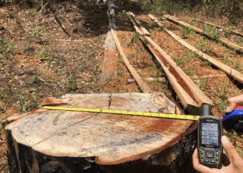 សហគមន៍នៅព្រៃព្រះរការត្អូញត្អែរពីការបាត់ចំណូល ដោយសារបទល្មើសព្រៃឈើនៅបន្តកើតមាននិងប៉ះពាល់ដល់អនុផលព្រៃឈើ