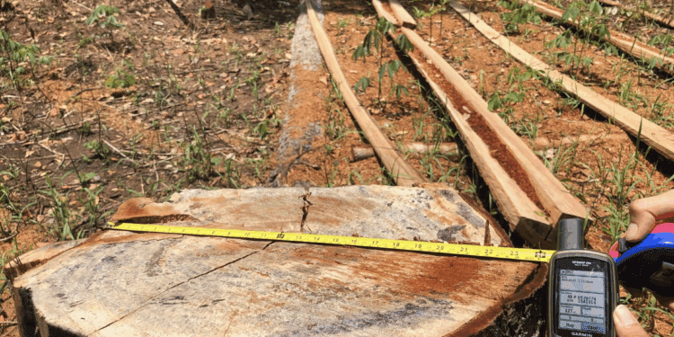 សហគមន៍នៅព្រៃព្រះរការត្អូញត្អែរពីការបាត់ចំណូល ដោយសារបទល្មើសព្រៃឈើនៅបន្តកើតមាននិងប៉ះពាល់ដល់អនុផលព្រៃឈើ