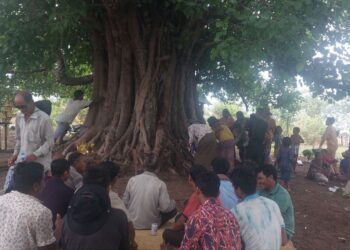 ទិដ្ឋភាពអ្នកភូមិជនជាតិដើមភាគតិចនៅឃុំថ្មីបាននាំគ្នាធ្វើពិធីសែនព្រេនតាមបែបប្រពៃណីជនជាតិដើមភាគតិចកួយ ដើម្បីរក្យាវប្បធម៌ និងសុំសេចក្តីសុខដល់មនុស្ស សត្វ ហើយសុំឱ្យការបង្កបង្កើនផលទទួលបានផលច្រើន រួមទាំងសុំទឹកភ្លៀង កាលពីថ្ងៃទី៣ ខែឧសភា ឆ្នាំ២០២៥។ (ពលរដ្ឋអ្នកសារព័ត៌មាន)