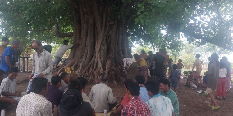 ទិដ្ឋភាពអ្នកភូមិជនជាតិដើមភាគតិចនៅឃុំថ្មីបាននាំគ្នាធ្វើពិធីសែនព្រេនតាមបែបប្រពៃណីជនជាតិដើមភាគតិចកួយ ដើម្បីរក្យាវប្បធម៌ និងសុំសេចក្តីសុខដល់មនុស្ស សត្វ ហើយសុំឱ្យការបង្កបង្កើនផលទទួលបានផលច្រើន រួមទាំងសុំទឹកភ្លៀង កាលពីថ្ងៃទី៣ ខែឧសភា ឆ្នាំ២០២៥។ (ពលរដ្ឋអ្នកសារព័ត៌មាន)