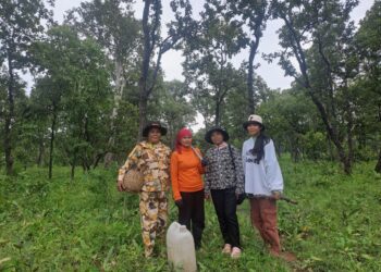 រូបភាពក្រុមស្រ្តីជនជាតិដើមភាគតិចកួយចុះល្បាតព្រៃព្រះរការ ស្ថិតក្នុងស្រុកឆែប ខេត្តព្រះវិហារ កាលពីខែមិថុនា ឆ្នាំ២០២៥។ (កញ្ញា ឡុង សំនាង)