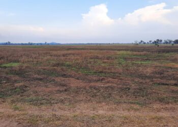 ទិដ្ឋភាពដីរបស់ក្រុមហ៊ុនចិនឈ្មោះ រូយ ហ្វេង ត្រូវបានទុកចោលដោយមិនមានសកម្មភាពដាំដុះ ឬធ្វើអ្វីនៅឡើយកាលពីថ្ងៃ២៣ ខែកុម្ភៈ ឆ្នាំ២០២៦ នៅភូមិប្រើសក្អក ឃុំម្លូរព្រៃពីរ ស្រុកឆែប ខេត្តព្រះវិហារ ។ ដោយ ឃុត សេងឡង់ឌី