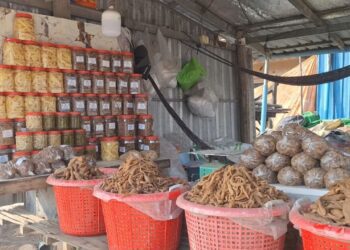 ទិដ្ឋភាពការលក់ឆៃប៉ូវ និងរៀនហាលឆៃប៉ូវតាមដងផ្លូវជាតិលេខ២១ នៅភូមិព្រែកស្នាយ ឃុំព្រែកគយ ខេត្តកណ្ដាល កាលពីថ្ងៃទី ២៤ ខែមេសា ឆ្នាំ ២០២៦។ លោក អ៊ុក ដែន