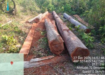 សកម្មភាពជនល្មើសកាប់បំផ្លាញព្រៃឈើ នៅតំបន់ព្រៃអចិន្ត្រៃយ៍របស់រដ្ឋចំណុចត្រពាំងប្រើស ស្ថិតនៅក្នុងឃុំទំរីង ស្រុកសណ្តាន់ ខេត្តកំពង់ធំ កាលពីថ្ងៃទី ២៧ខែ មីនា ឆ្នាំ ២០២៦៦។ (រូបផ្តល់ឱ្យ)