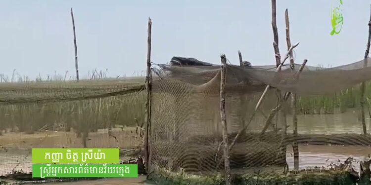 ការ​នេសាទ​ខុស​ច្បាប់នៅតំបន់បឹង​ទន្លេសាប​​មិន​អាច​ទប់ស្កាត់​បាន